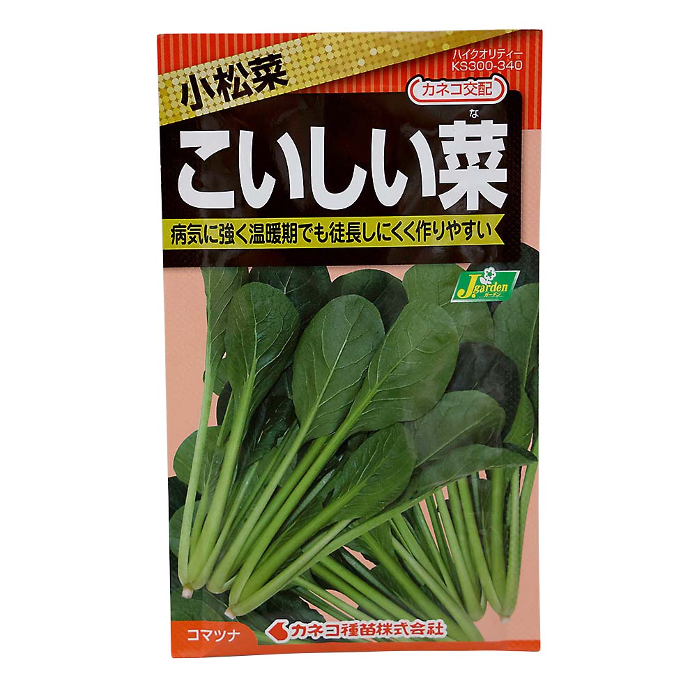 コマツナ こいしい菜　春秋兼用