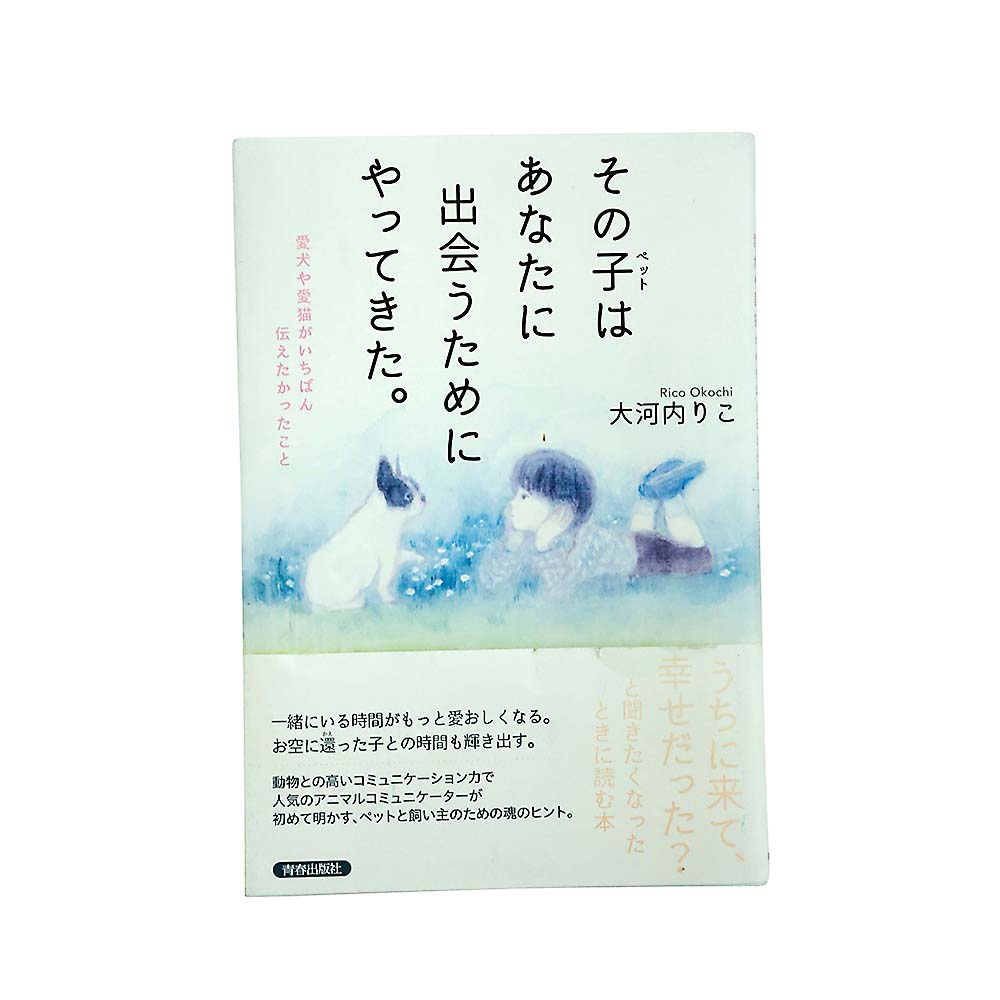 ソノ子はアナタに出会うためにヤッテキタ　青春出版社