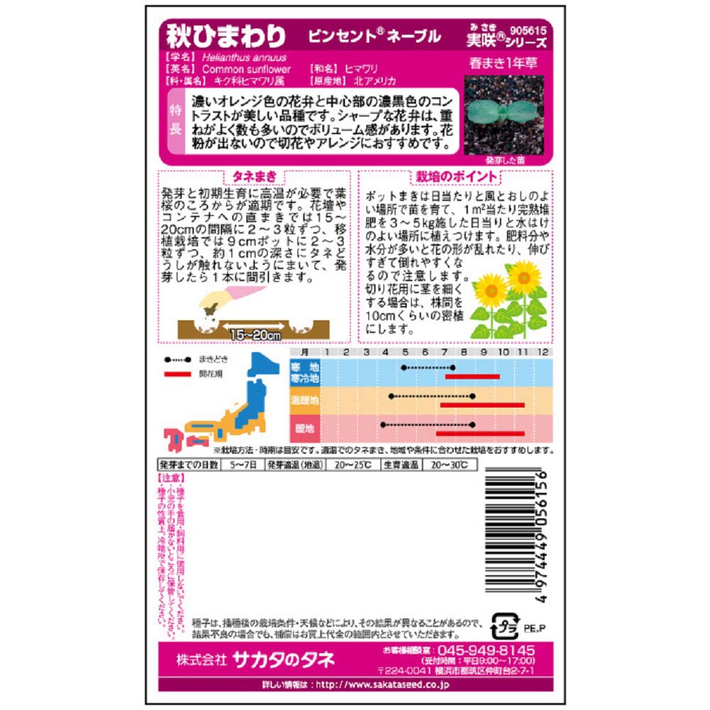 ひまわり_ビンセント ネーブル　秋まき