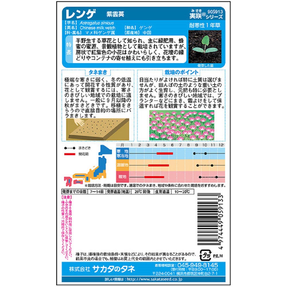 レンゲ_景観用大袋_レンゲ_紫雲英　春秋兼用