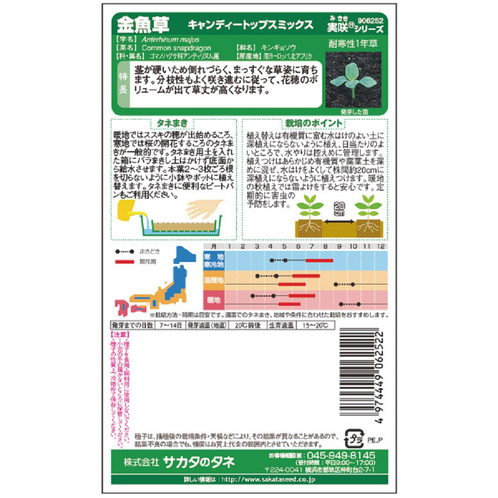 金魚草_キャンディートップスミックス　春秋兼用