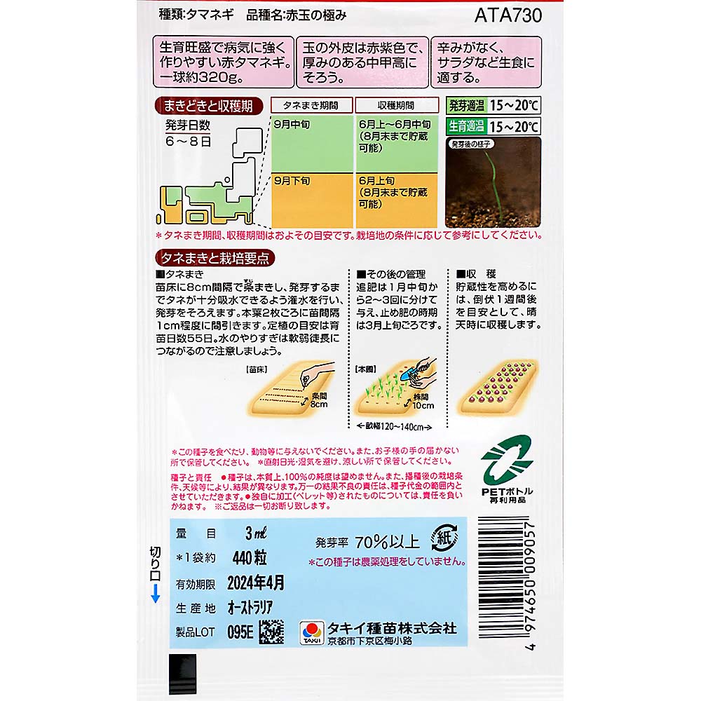赤玉の極み　秋まき