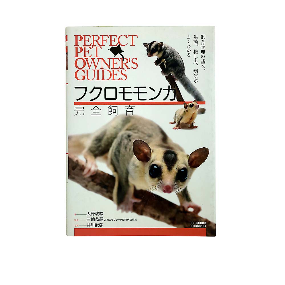 フクロモモンガ完全飼育