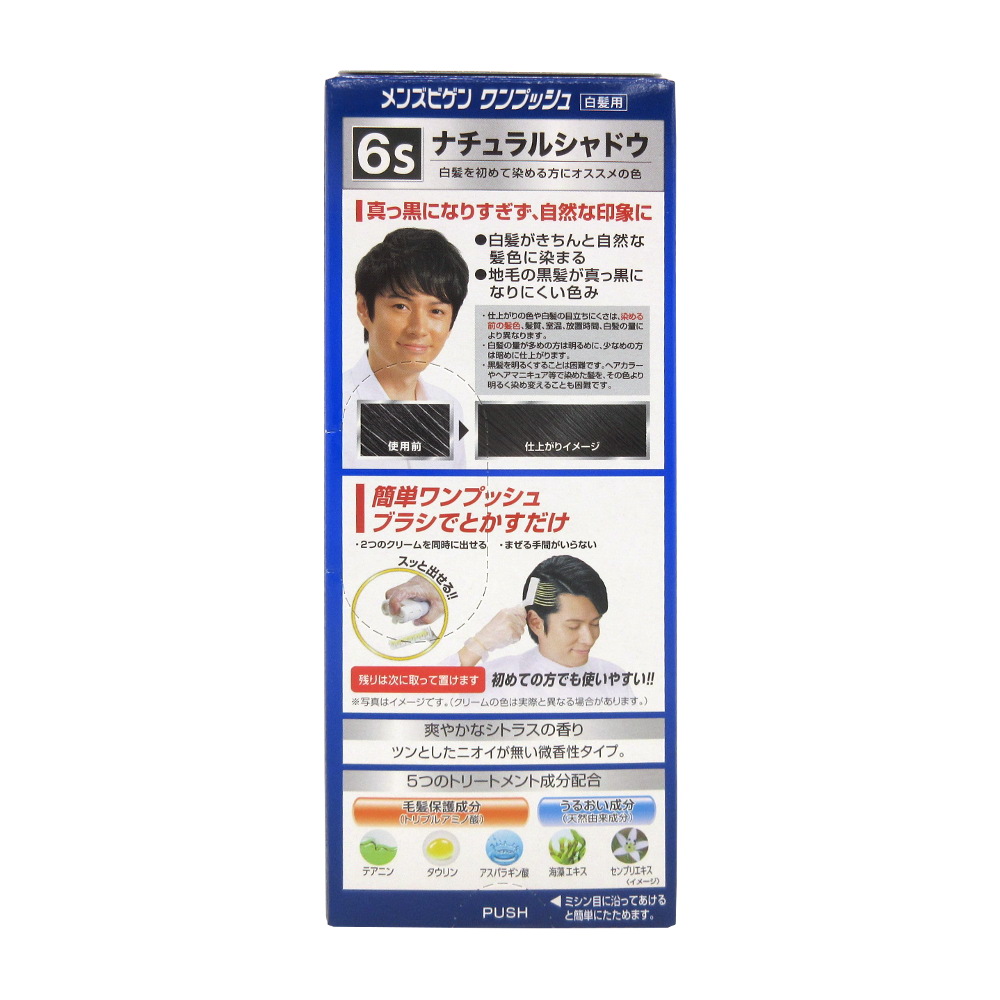 メンズビゲンワンプッシュ6Sナチュラルシャドウ 40g+40g メンズビゲンワンプッシュ6Sナチュラルシャドウ 40g+40g