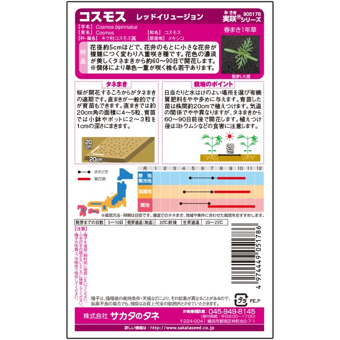 コスモス＿レッドイリュージョン　春まき