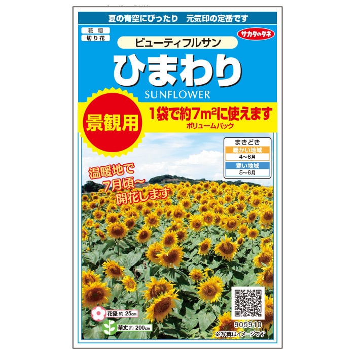 ヒマワリ＿ビューティフルサン＿景観用大袋　春まき