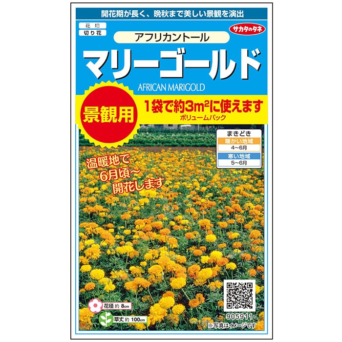 マリーゴールド＿アフリカントール＿景観用大袋　春まき