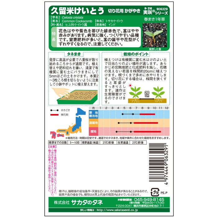 けいとう＿かがやき