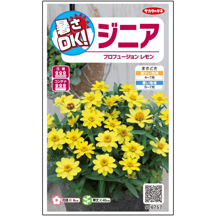 ジニア＿プロフュージョン＿暑さＯＫ＿レモン　春まき