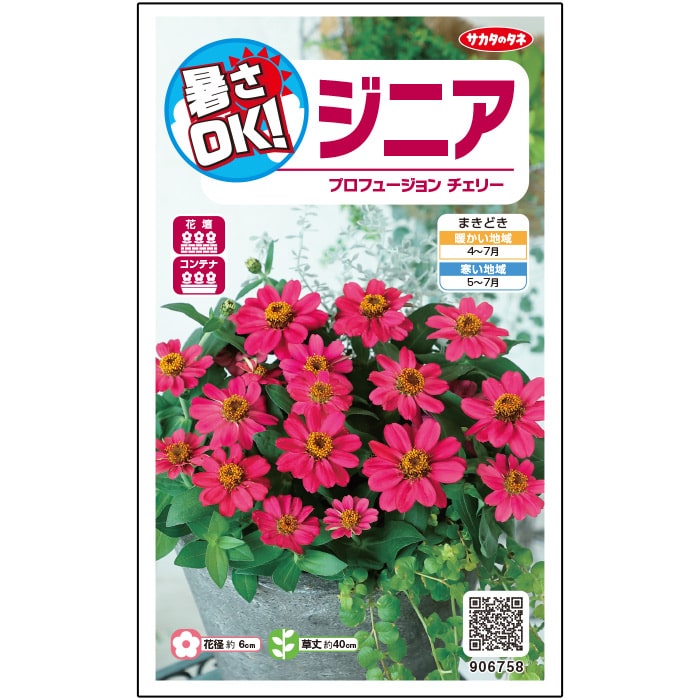 ジニア＿プロフュージョン＿暑さＯＫ＿チェリー　春まき