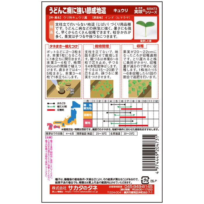 キュウリ_節成地這　春秋兼用