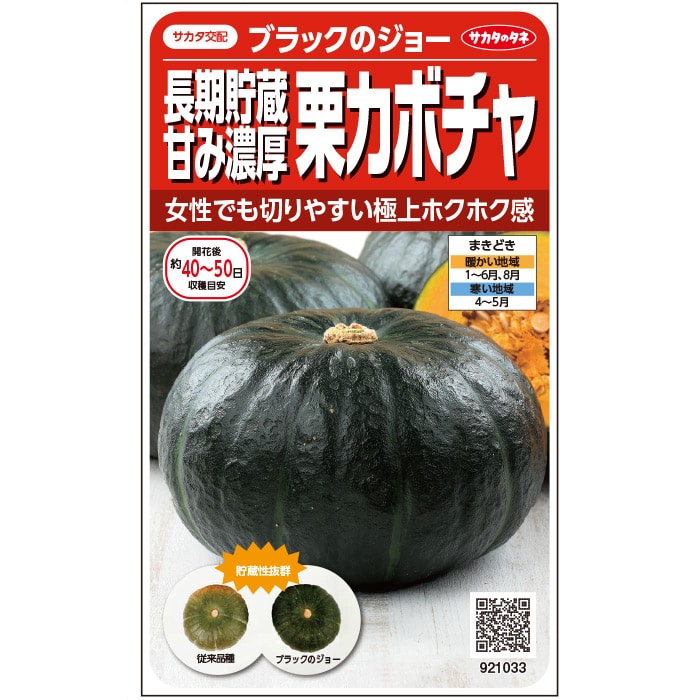 カボチャ＿ブラックのジョー　春まき