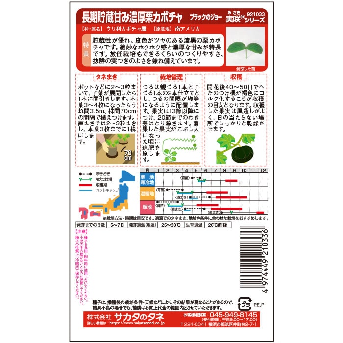 カボチャ＿ブラックのジョー　春まき