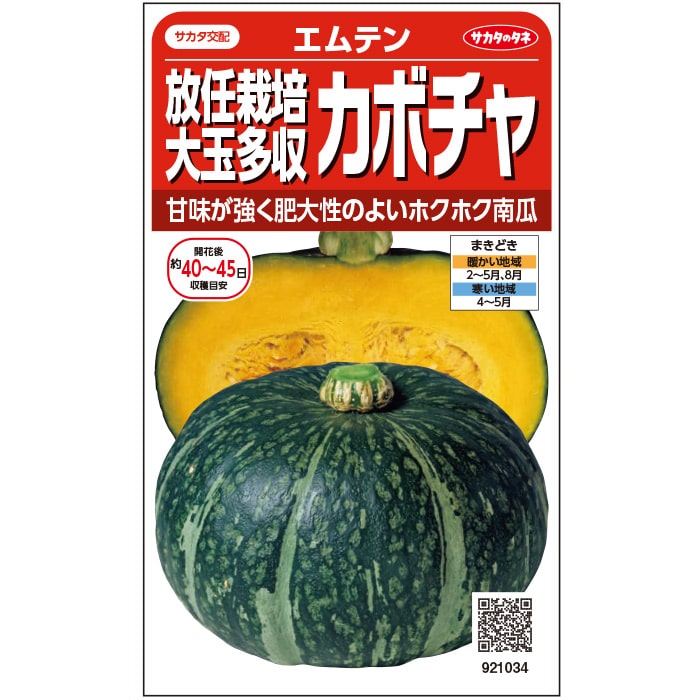 カボチャ＿エムテン　春まき
