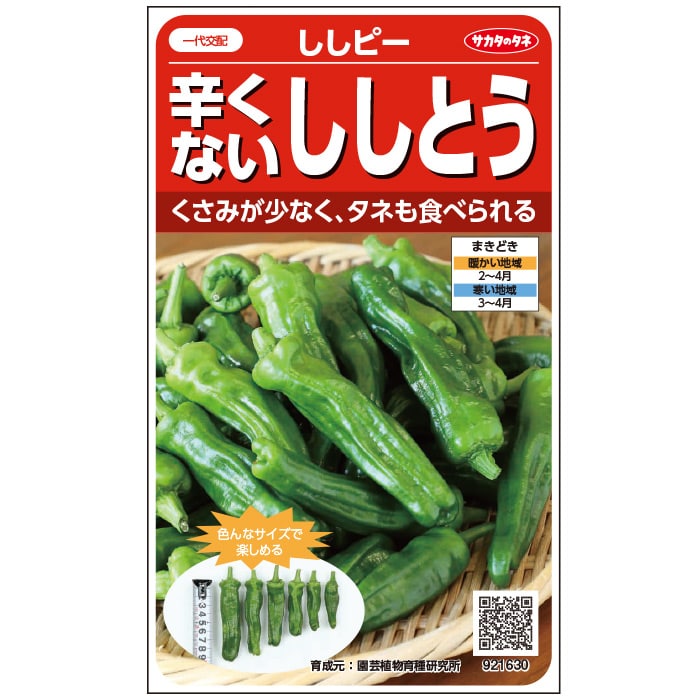 ピーマン＿ししとうピーマン＿ししピー　春まき