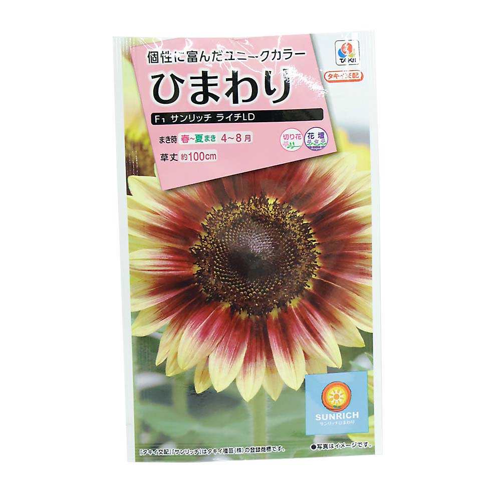 ひまわり サンリッチライチLD　春まき