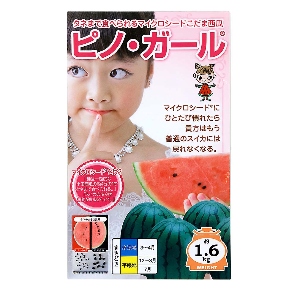 ナント　ピノ・ガール　小袋　春まき