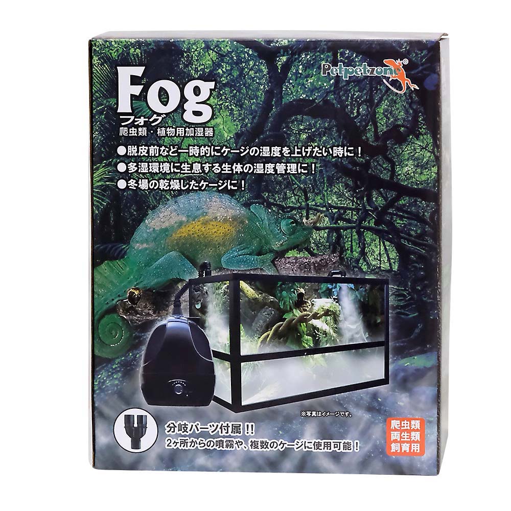 Fog(フォグ)
