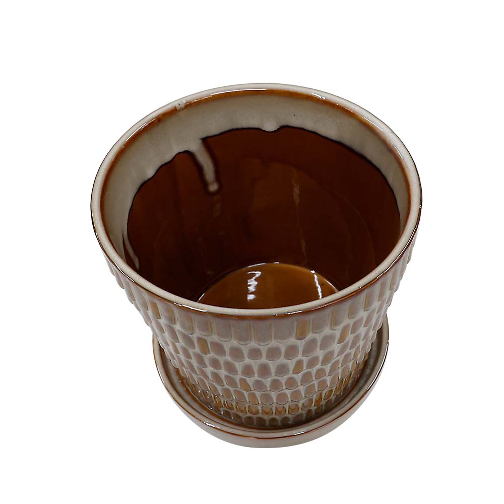 クラッツ　ウロ　クリーム　１７ｃｍ