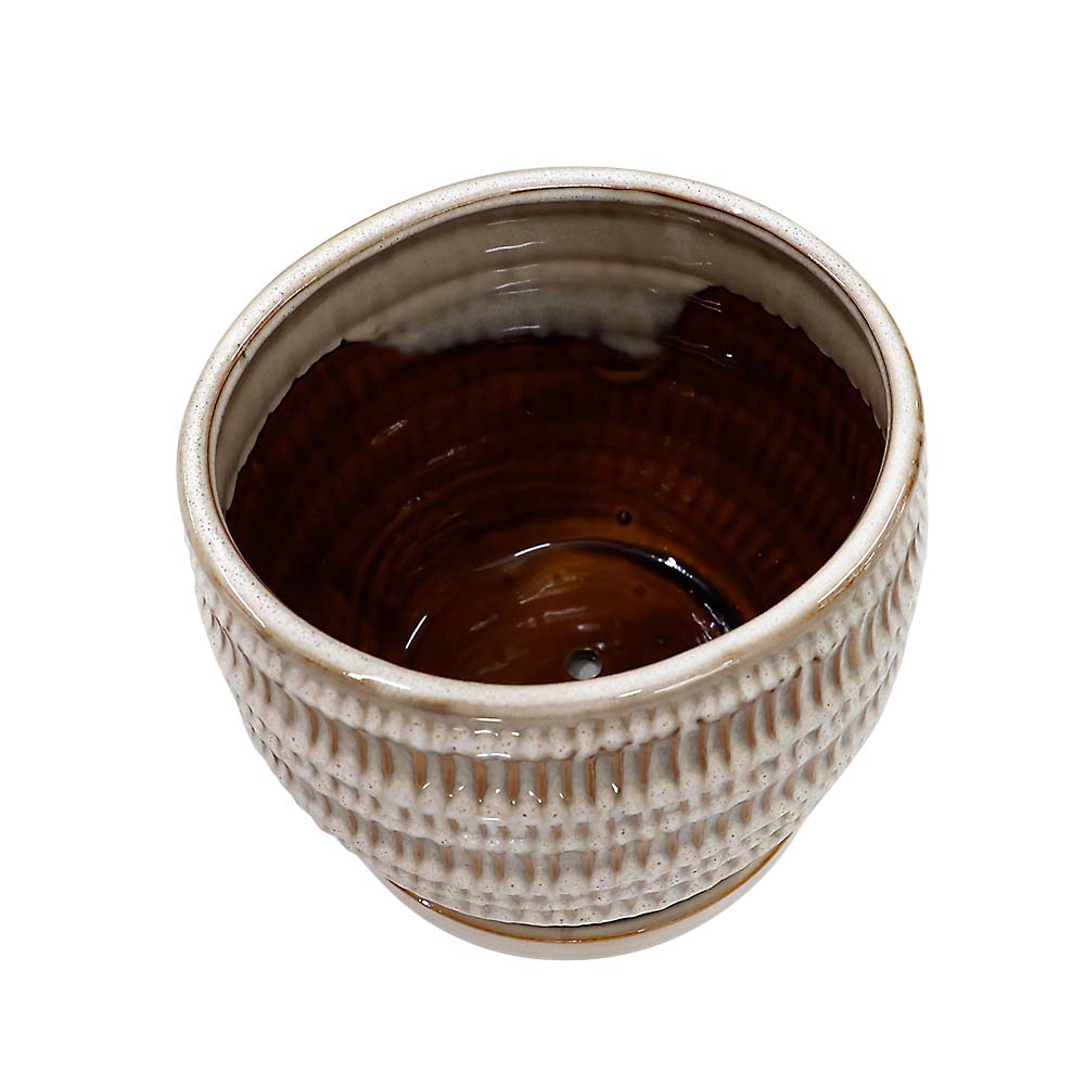 クラッツ　シノ　クリーム　１８ｃｍ
