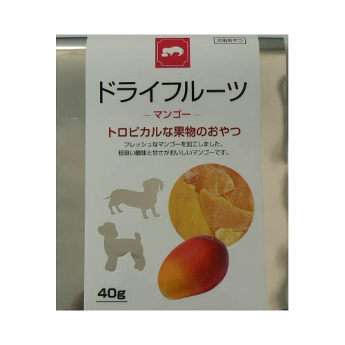 ドライフルーツマンゴー40g　40g