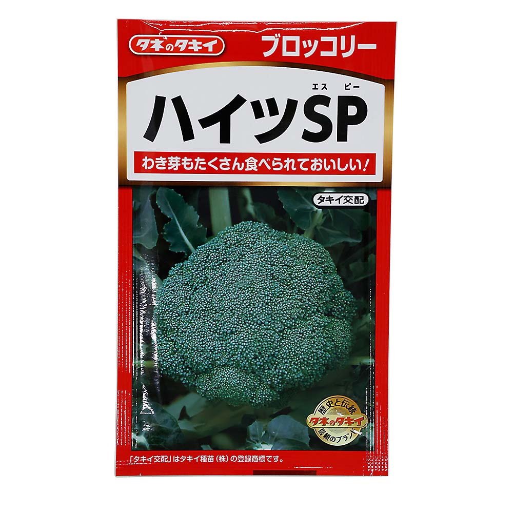 ハイツSP　春秋兼用