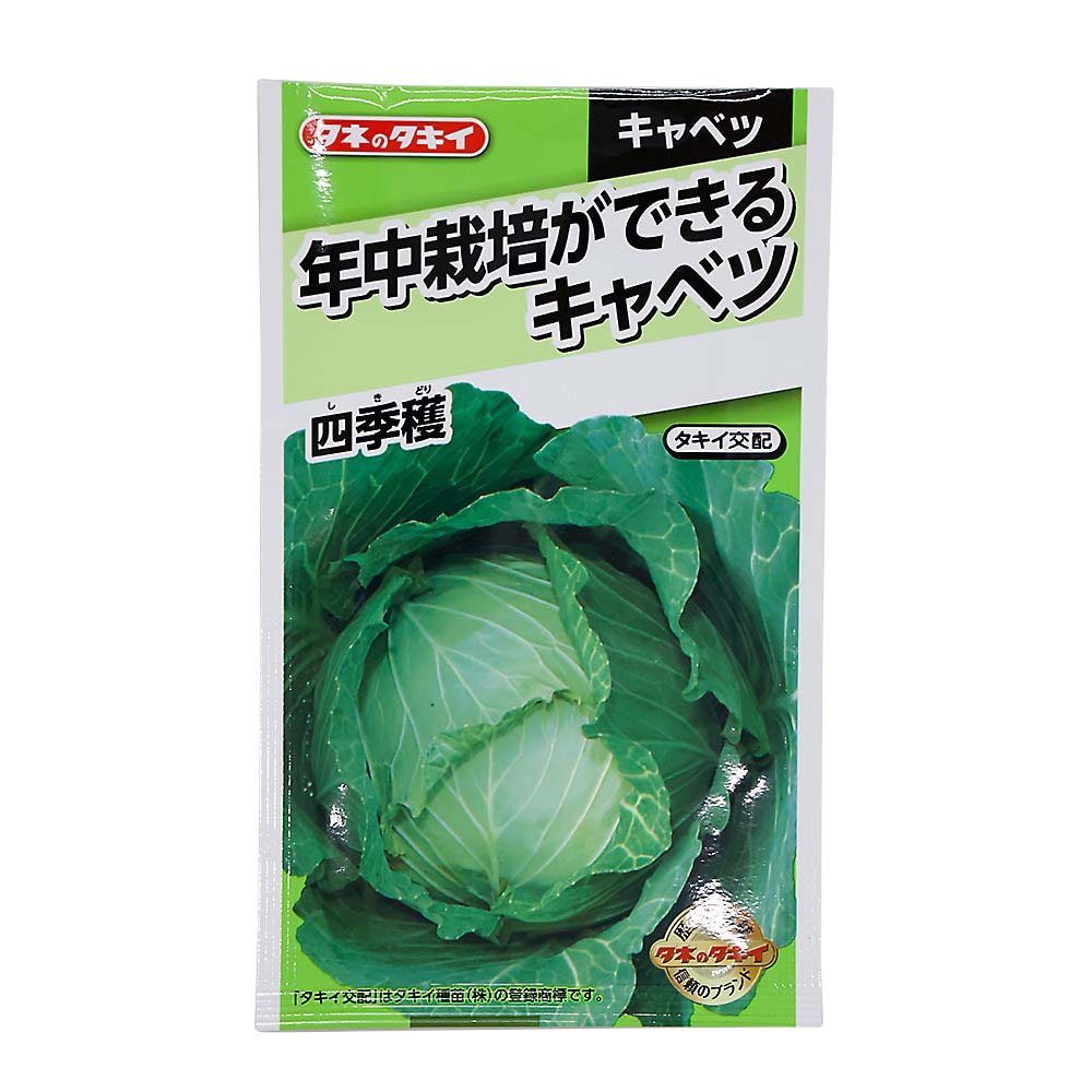 年中栽培ができるキャベツ 四季穫　春秋兼用