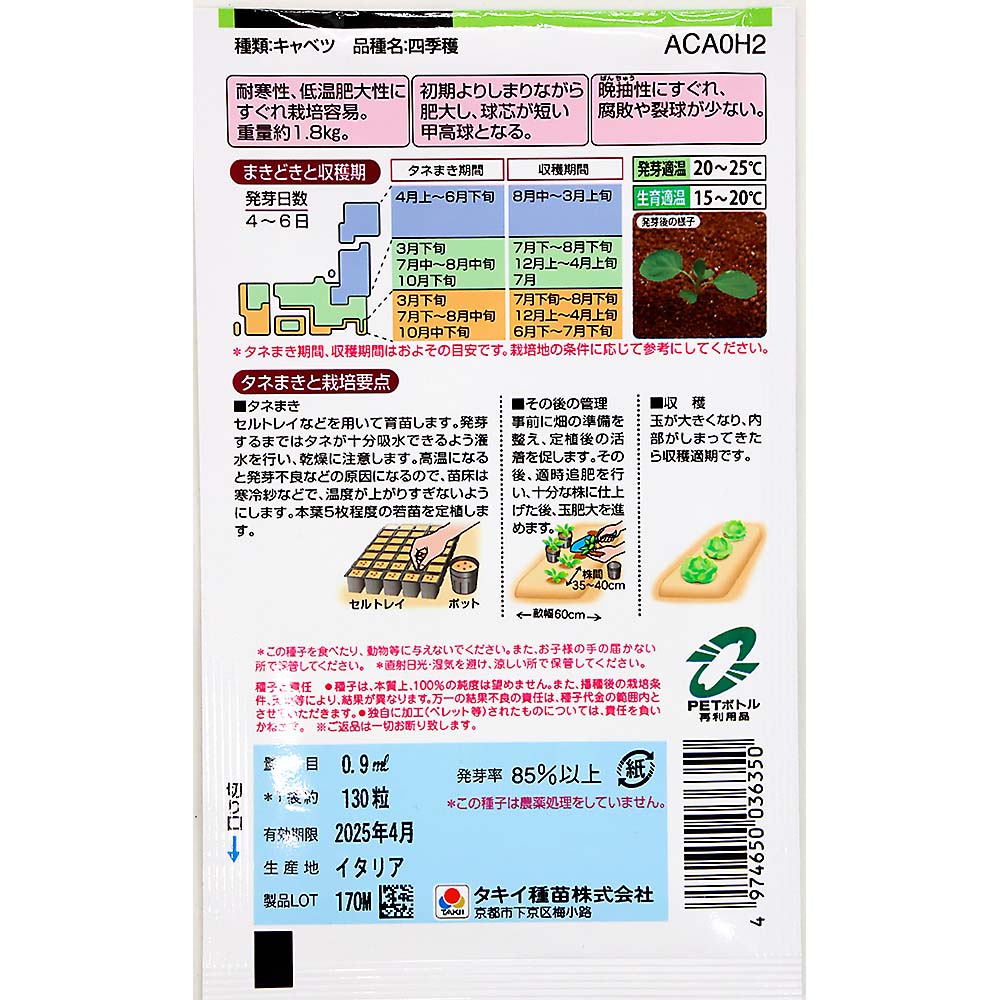 年中栽培ができるキャベツ 四季穫　春秋兼用