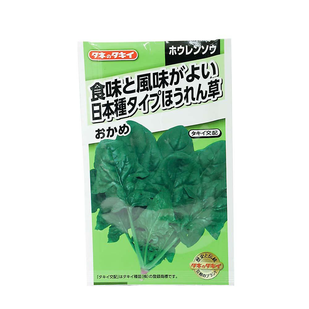日本種タイプほうれん草 おかめ　春まき