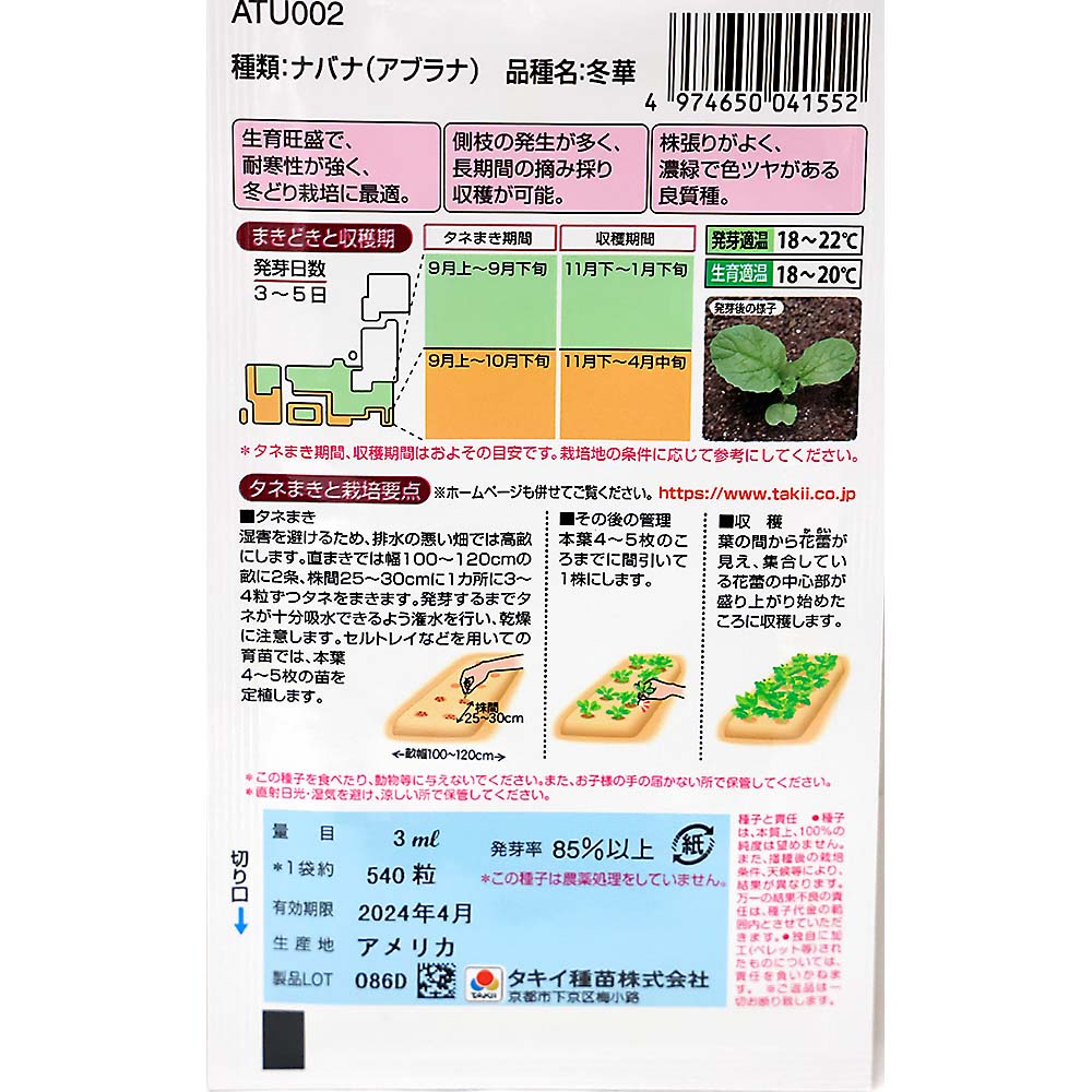 冬華菜花　秋まき
