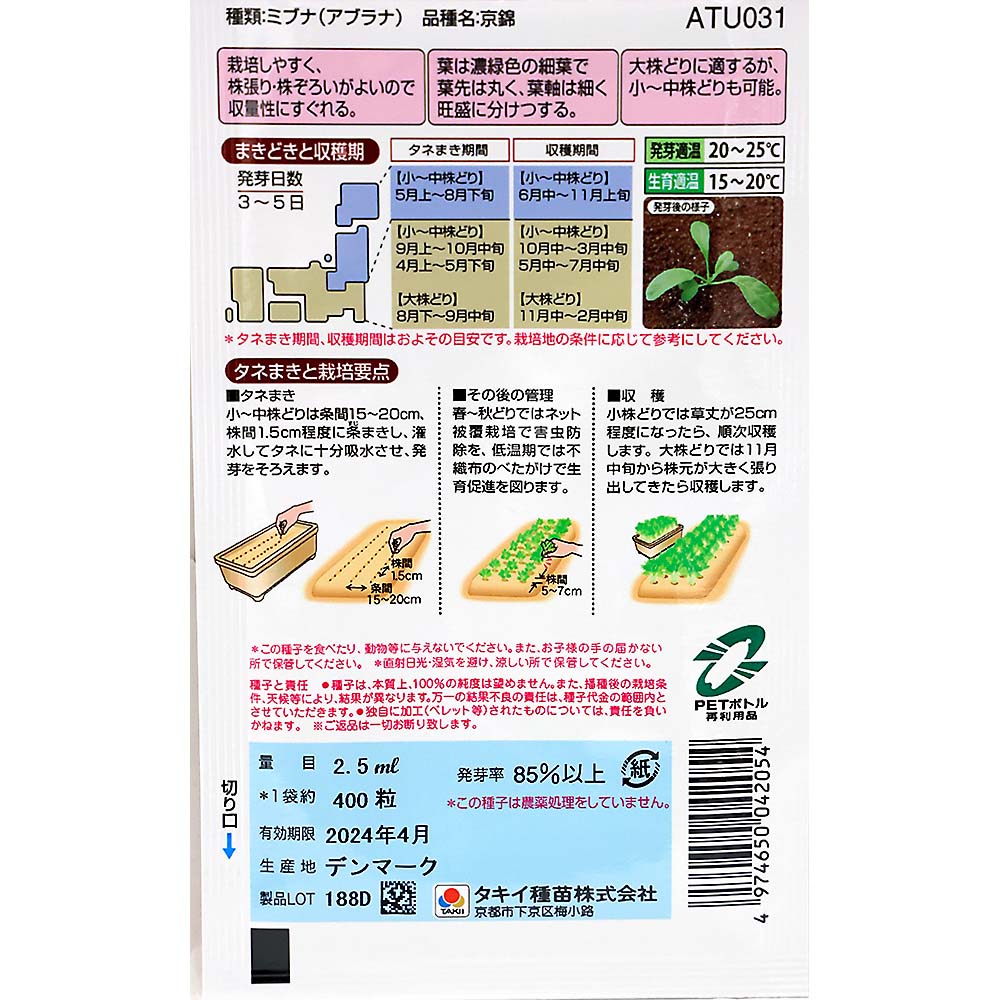 京錦　秋まき