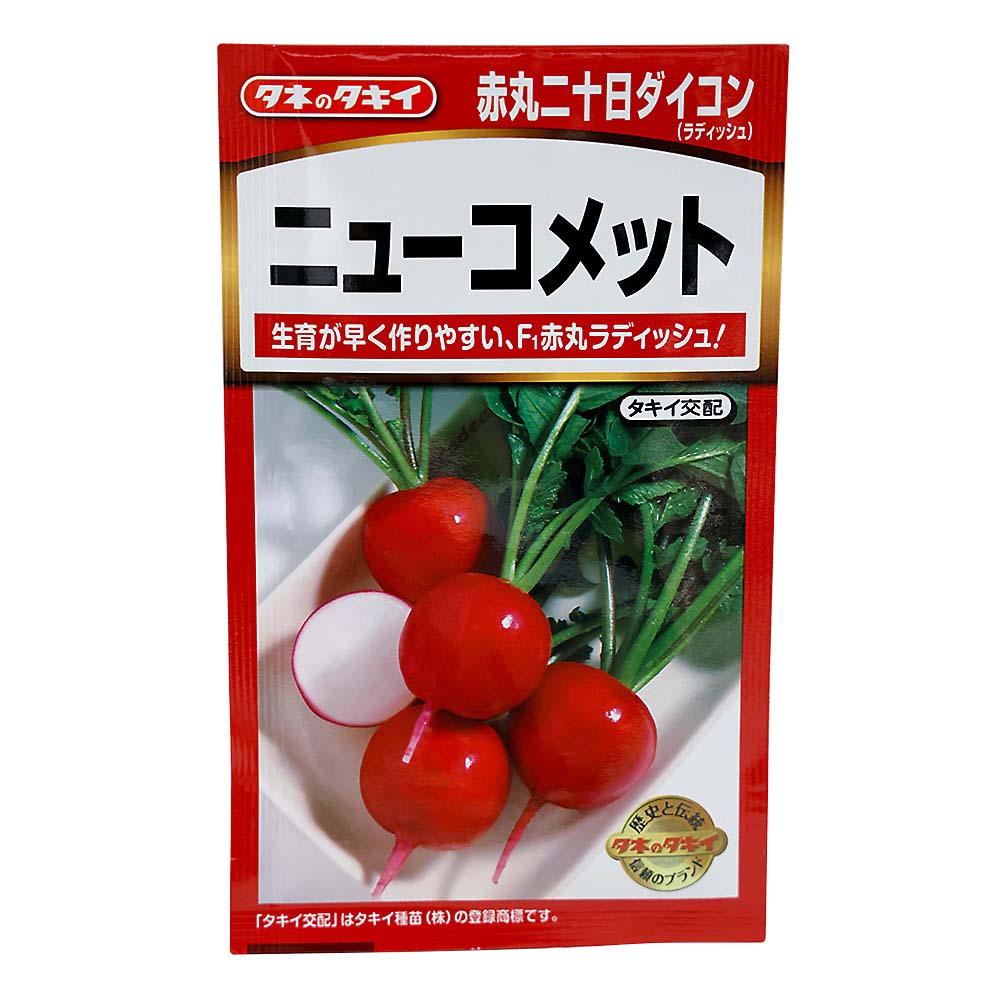 ニューコメット　春秋兼用