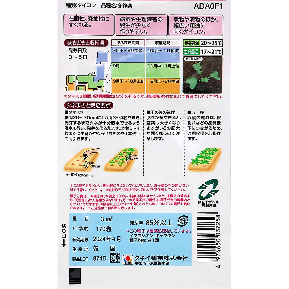 畑でながもち冬どり大根 冬神楽　秋まき