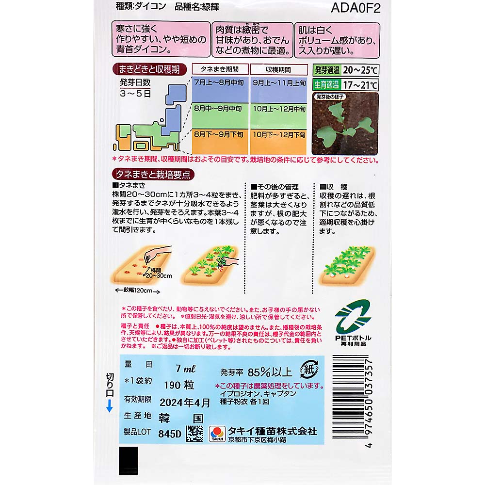 味がしみるおでん大根 緑輝　秋まき