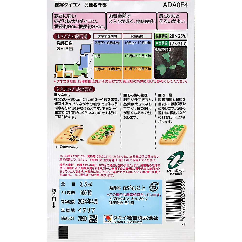品質最高 極上の冬どり大根 千都　秋まき
