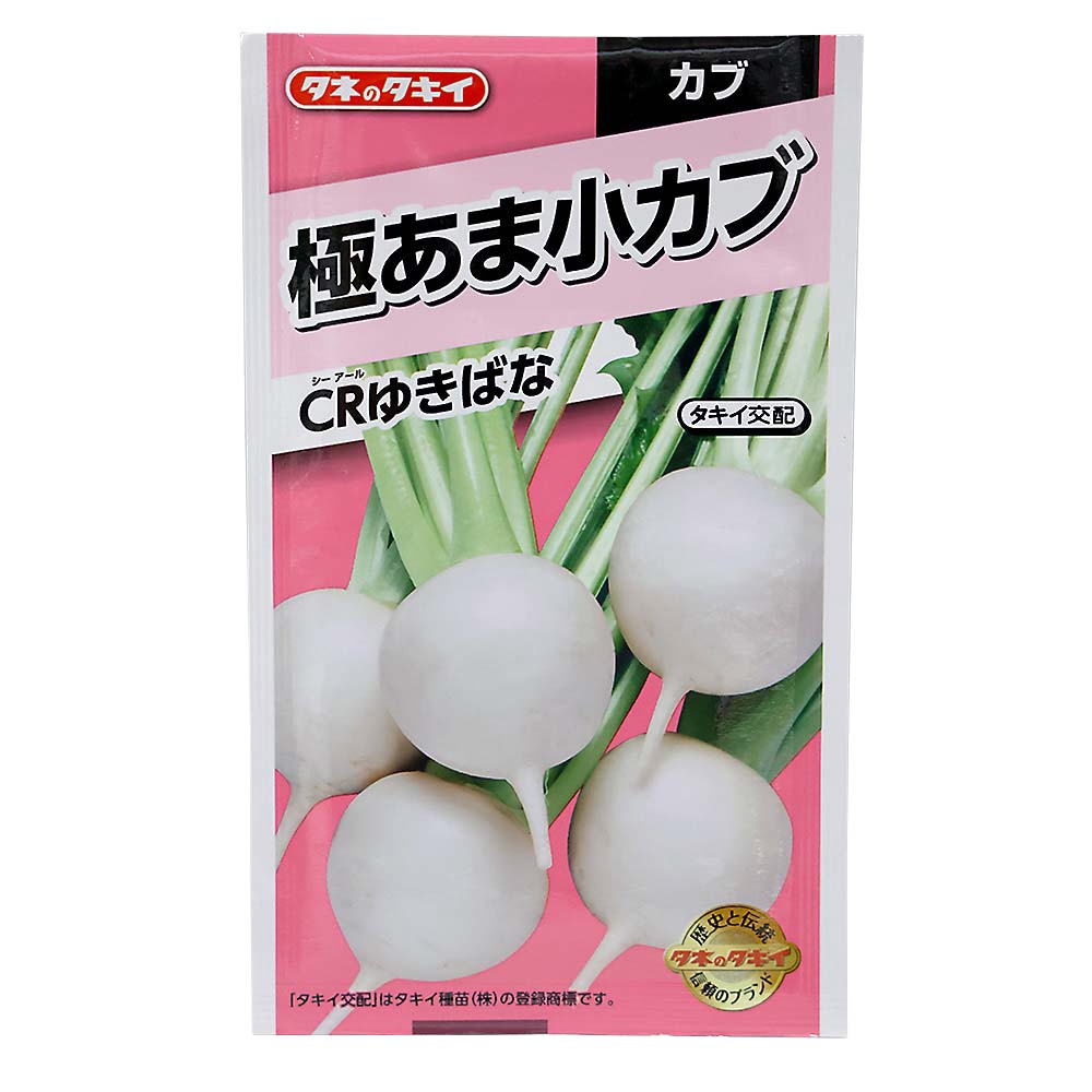 極あま小カブ CRゆきばな　秋まき