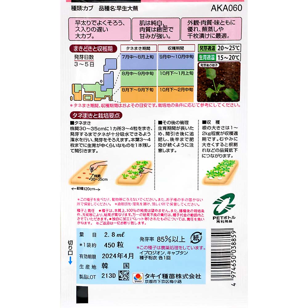 早太り大丸蕪 早生大蕪　秋まき