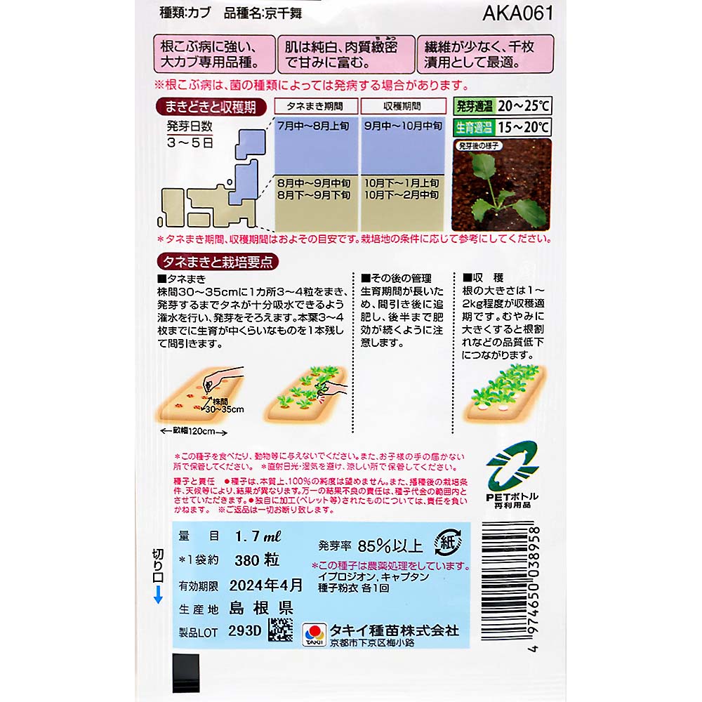 耐病大丸蕪 京千舞　秋まき