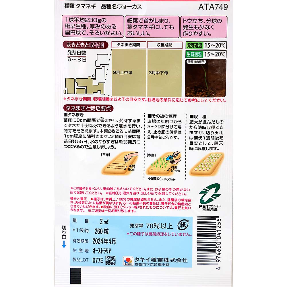春一番サラダ玉葱 フォーカス　秋まき