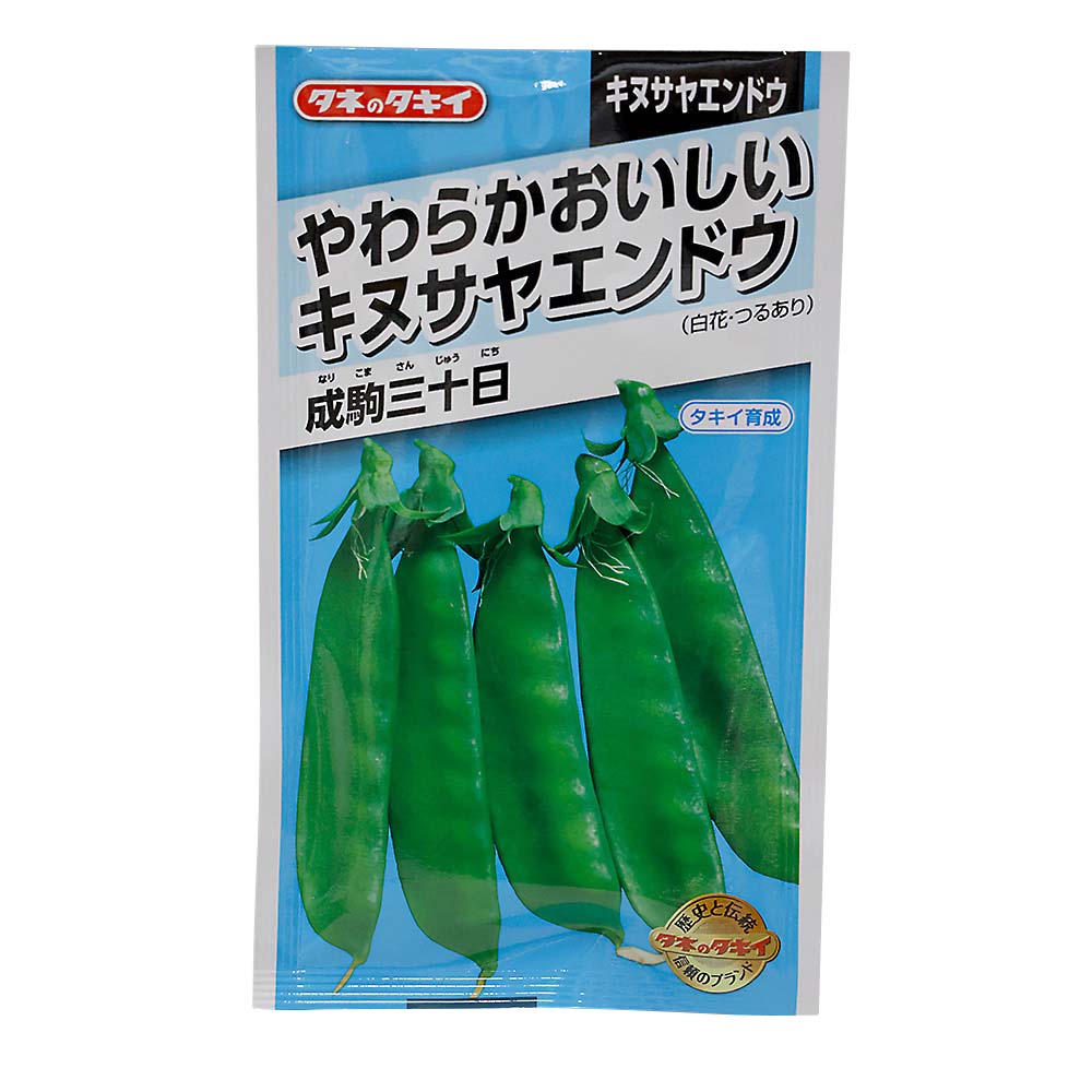 やわらかおいしいキヌサヤエンゴウ　秋まき