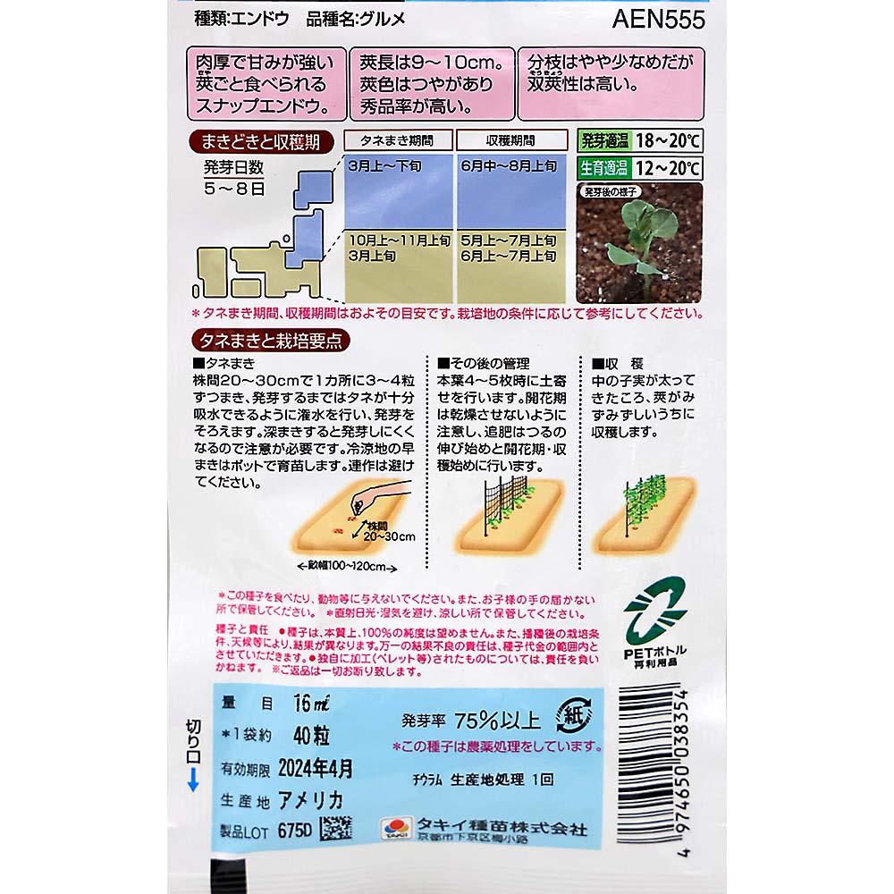 肉厚スナップえんどう グルメ　春まき