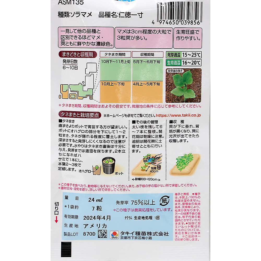 ほくほく甘い 一寸ソラマメ 仁徳一寸　秋まき