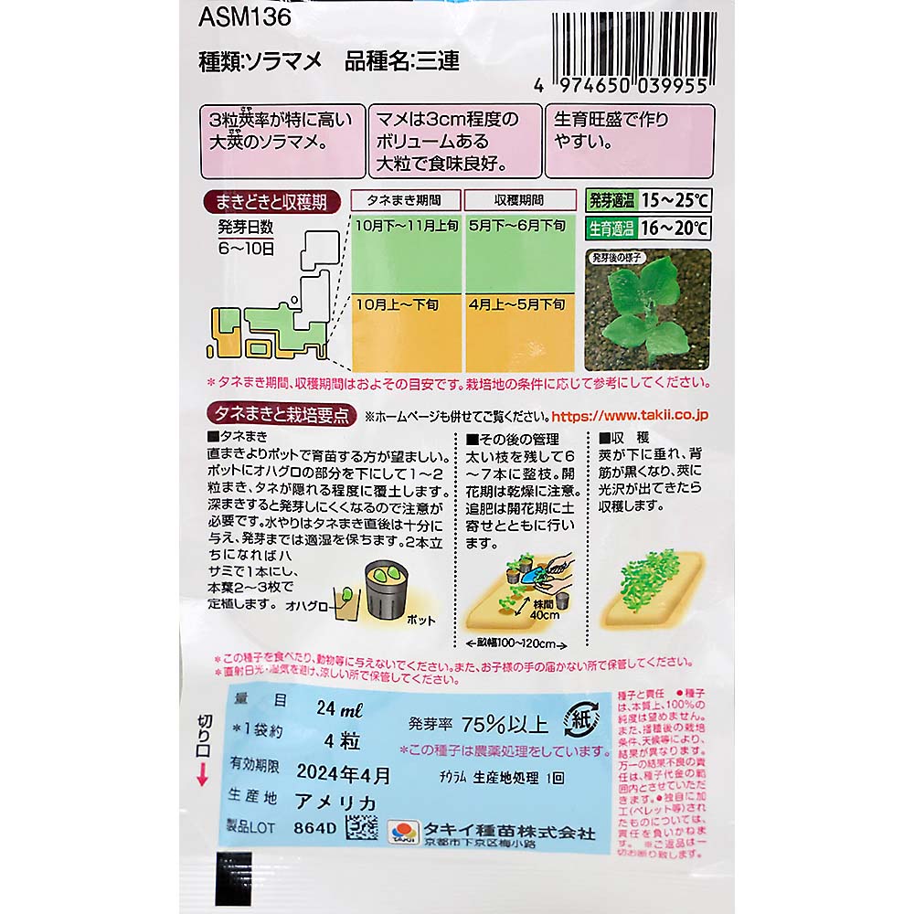 大粒そらまめ 三連　秋まき
