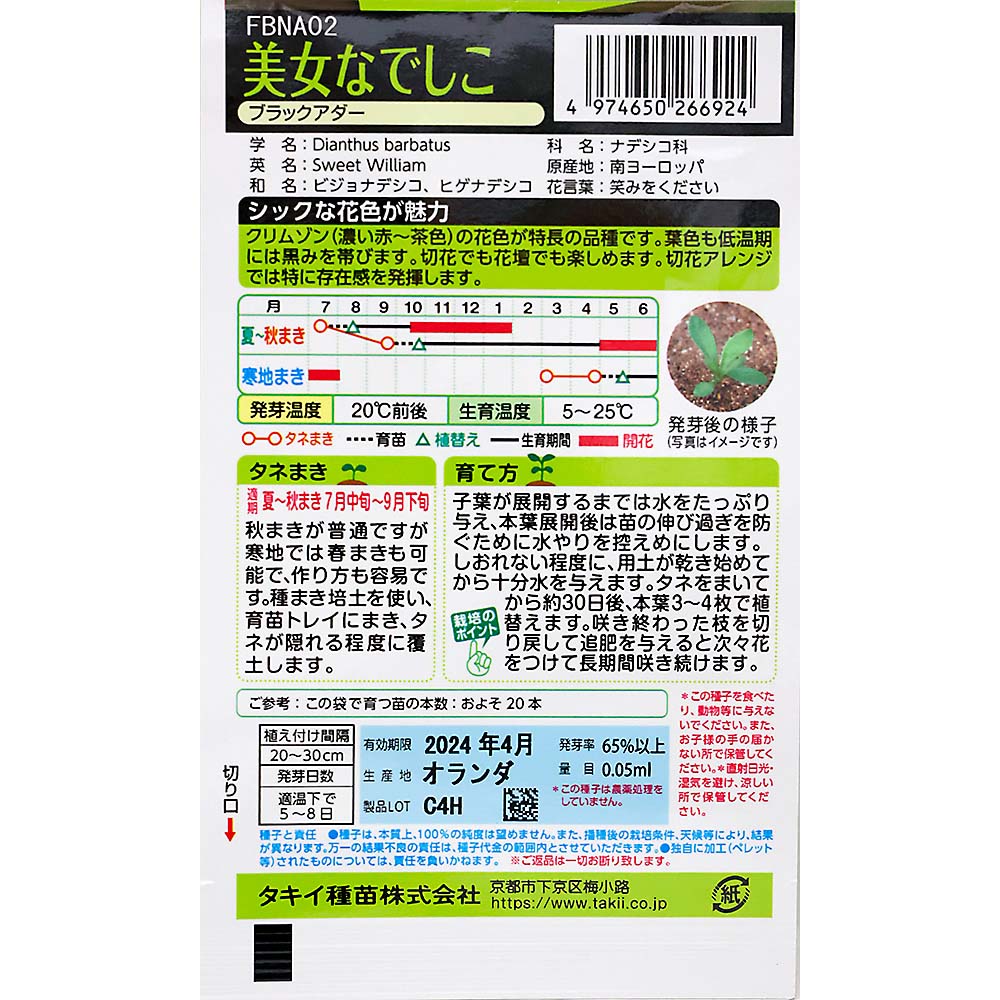 美女なでしこ ブラックアダー　秋まき