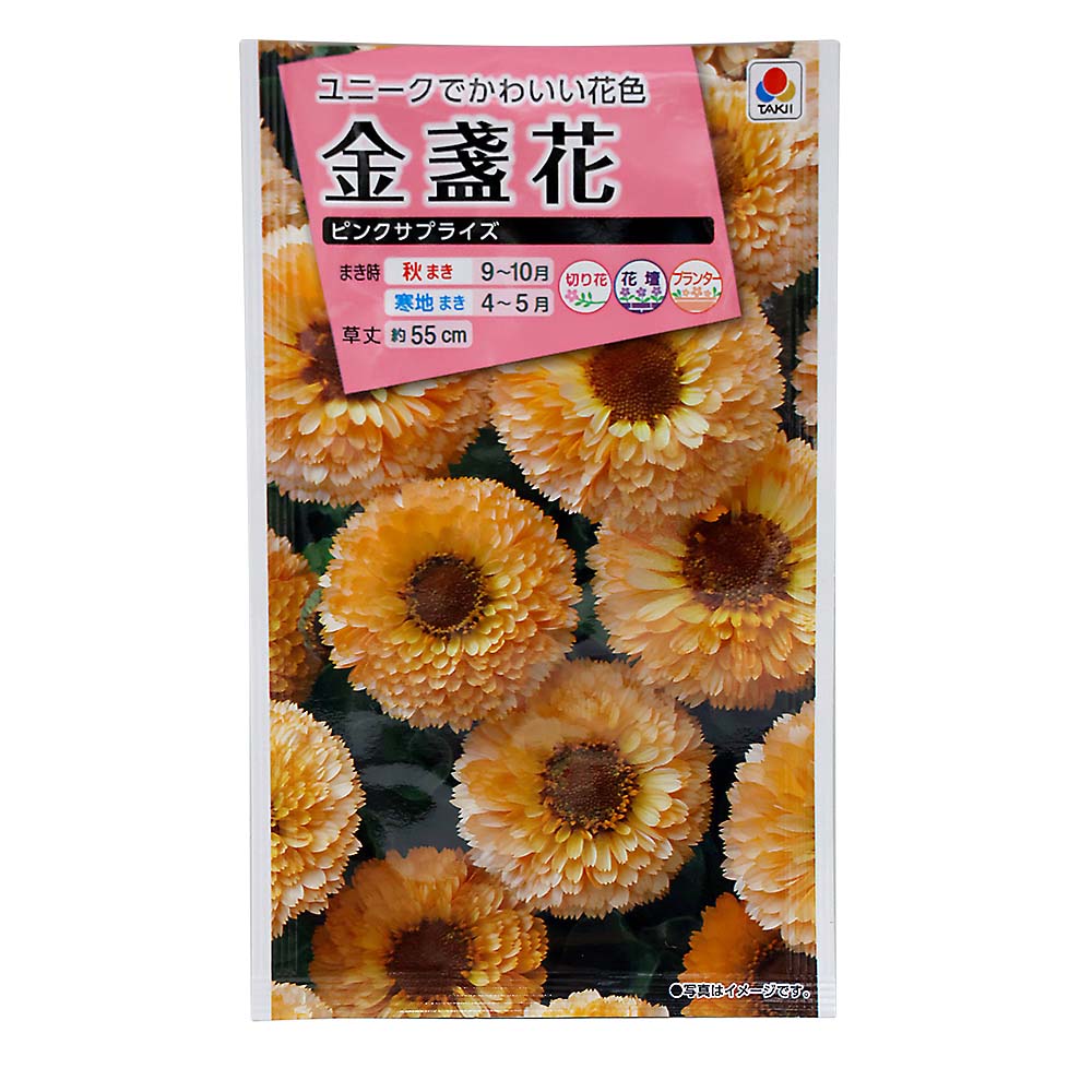金盞花 ピンクサプライズ　秋まき