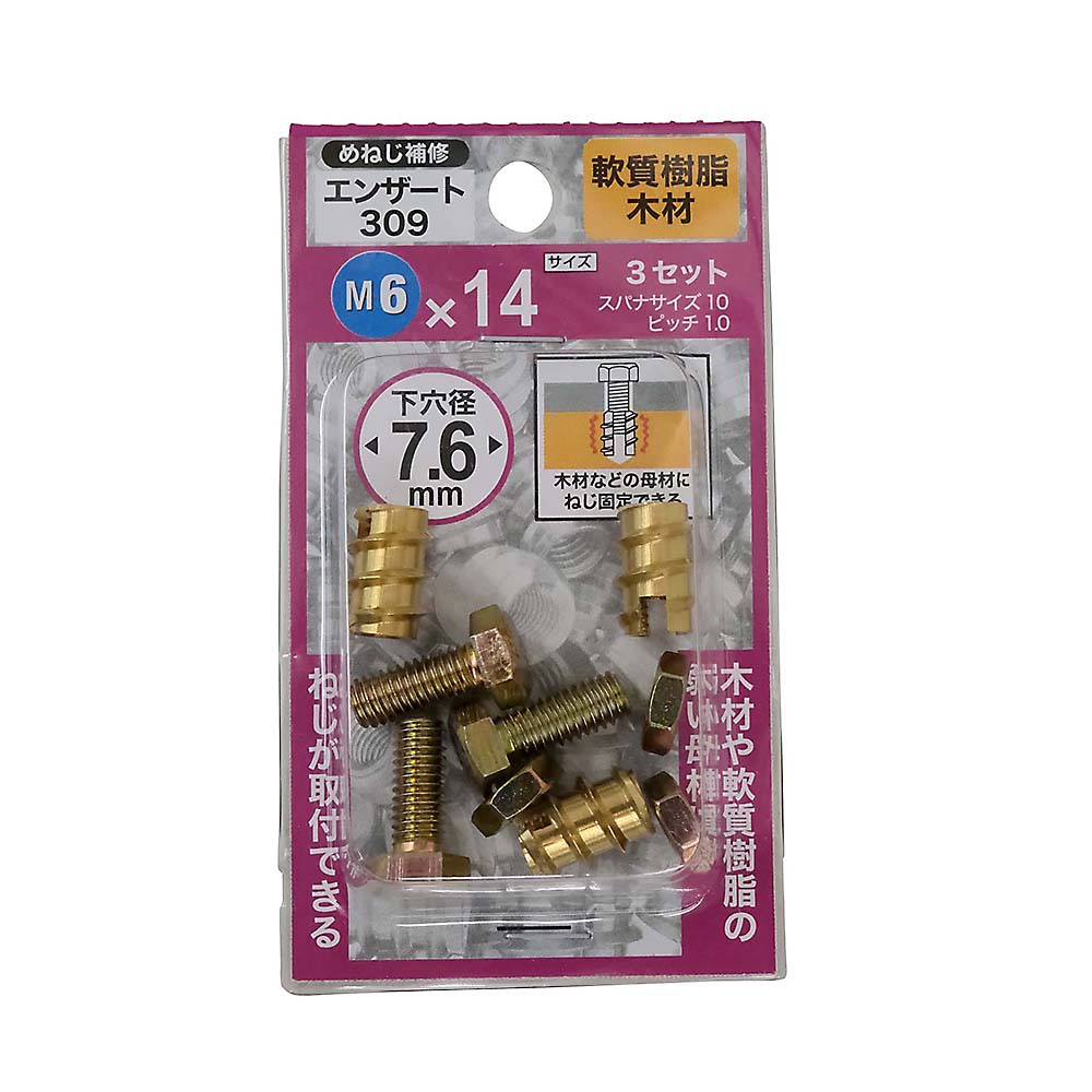 エンザート　３０９　Ｍ６