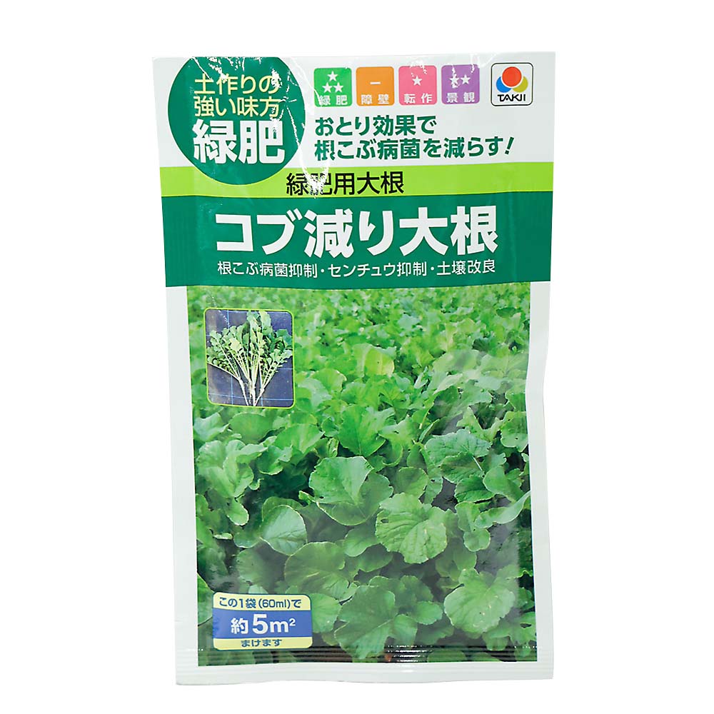 緑肥用大根 コブ減り大根 60ML　春秋兼用