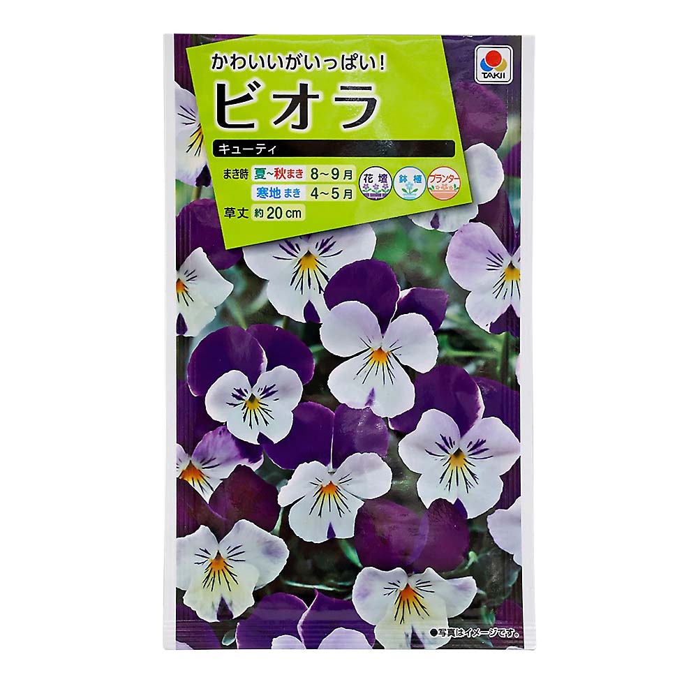 ビオラ キューティ　秋まき