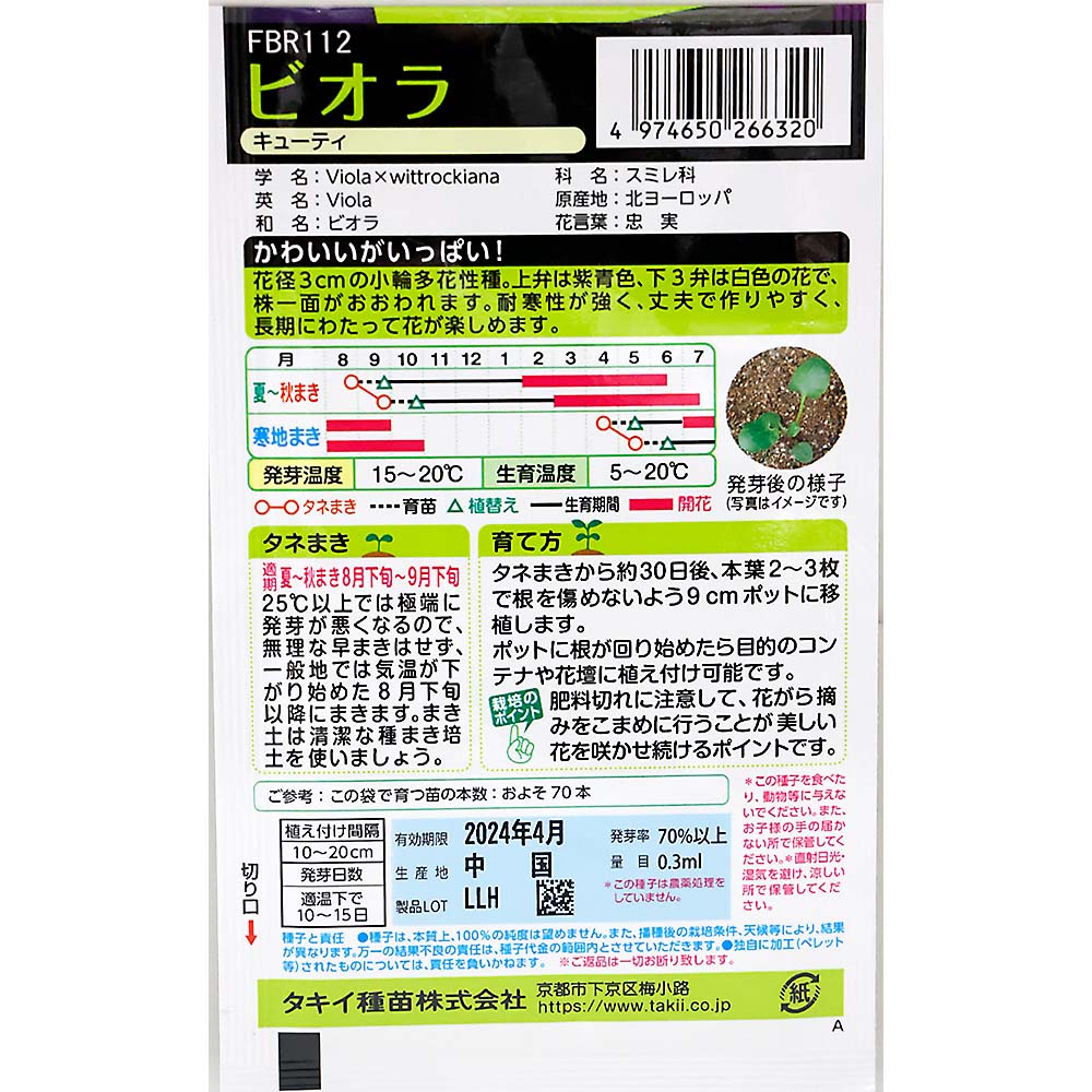ビオラ キューティ　秋まき