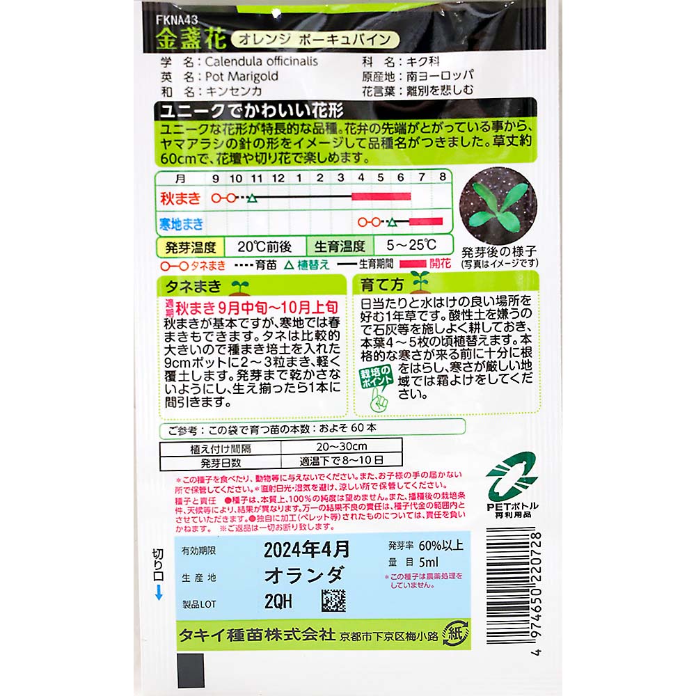 金盞花 オレンジポーキュパイン　秋まき